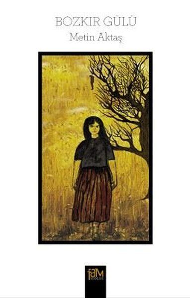 Bozkır Gülü - Kolektif kitap kapağı