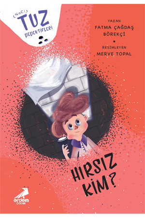 Hırsız Kim? - Tuz Dedektifleri - Fatma Çağdaş Börekçi kitap kapağı