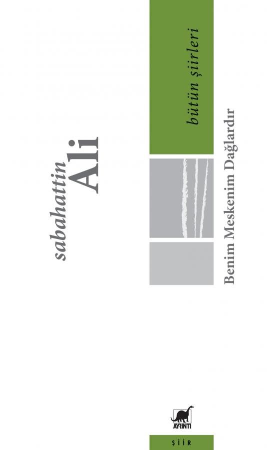 Benim Meskenim Dağlardır - Bütün Şiirleri - Sabahattin Ali kitap kapağı