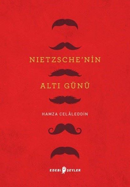 Nietzsche’nin Altı Günü - Hamza Celaleddin kitap kapağı