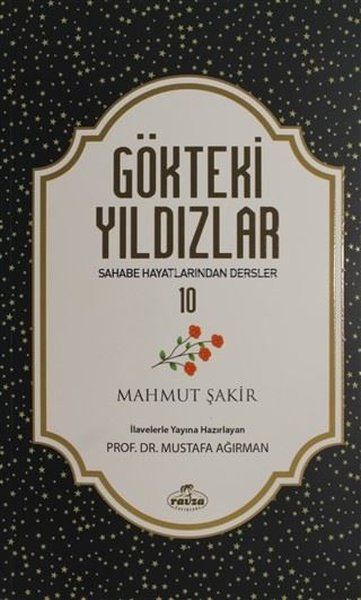 Gökteki Yıldızlar - 10 - Mahmut Şakir kitap kapağı