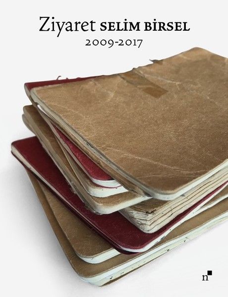Ziyaret - Selim Birsel kitap kapağı