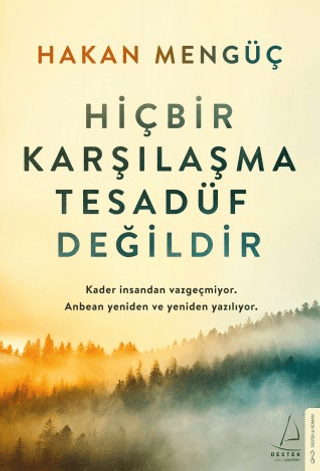 Hiçbir Karşılaşma Tesadüf Değildir - Hakan Mengüç kitap kapağı