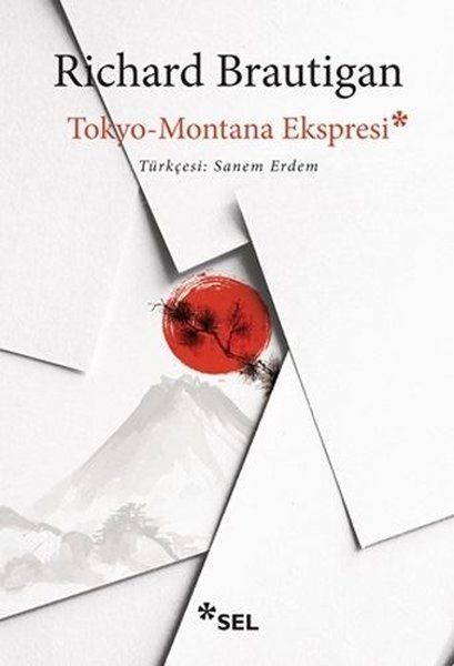 Tokyo-Montana Ekspresi - Richard Brautigan kitap kapağı
