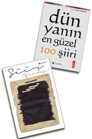 Dünyanın En Güzel 100 Şiiri ve Şiir Ajandası Seti - Halil Gökhan kitap kapağı