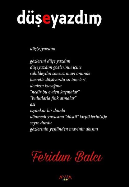 Düşeyazdım - Feridun Balcı kitap kapağı