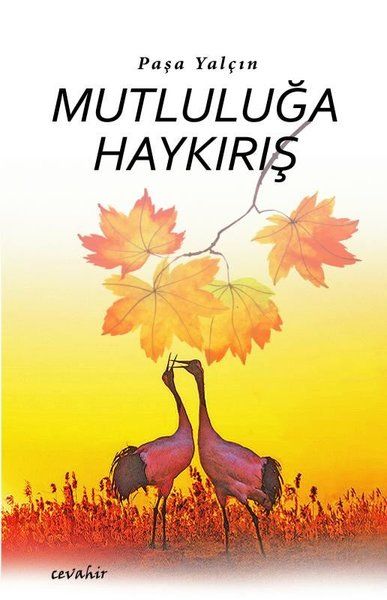 Mutluluğa Haykırış - Paşa Yalçın kitap kapağı