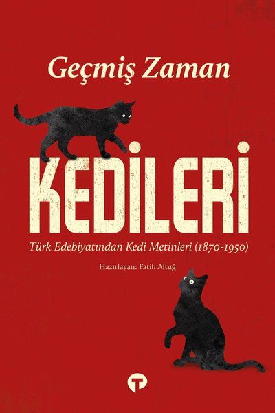 Geçmiş Zaman Kedileri - Fatih Altuğ kitap kapağı
