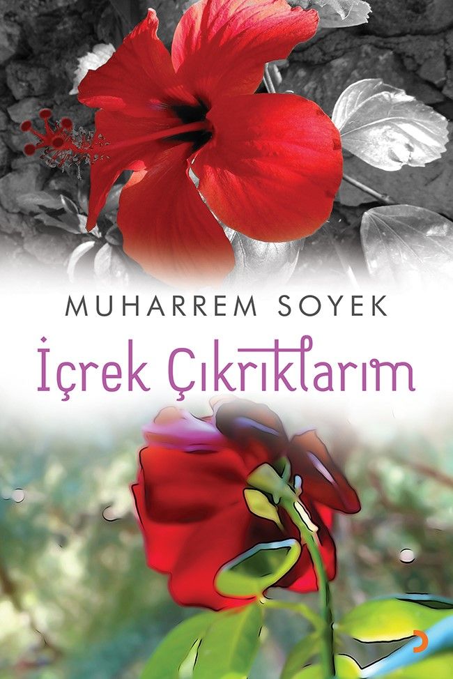 İçrek Çıkrıklarım - Muharrem Soyek kitap kapağı