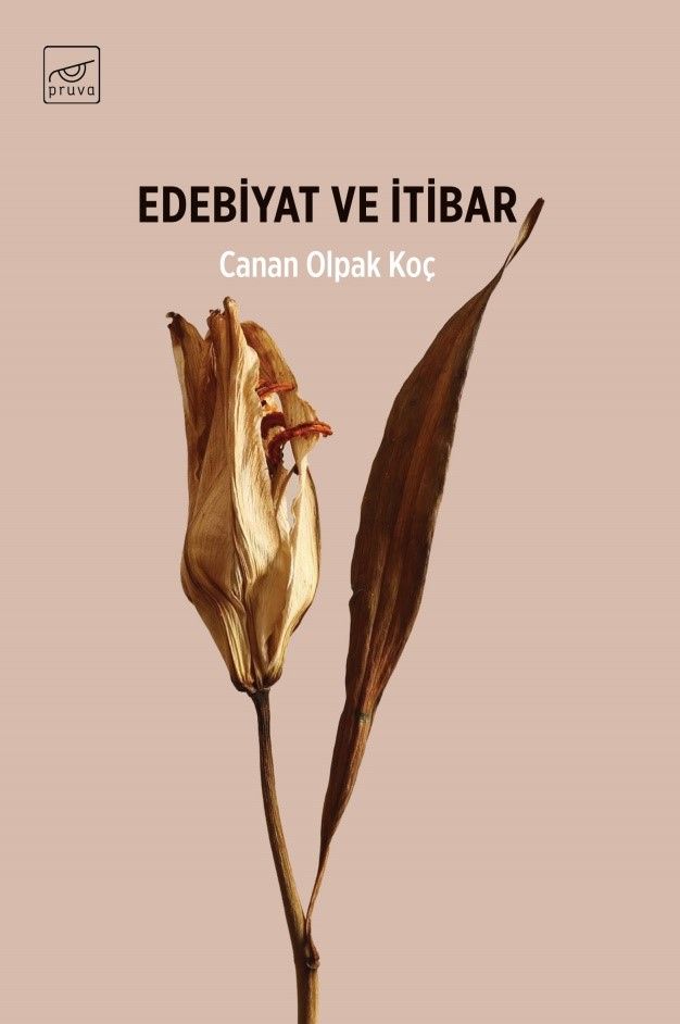 Edebiyat ve İtibar - Canan Olpak Koç kitap kapağı