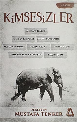Kimsesizler - Mustafa Tenker kitap kapağı