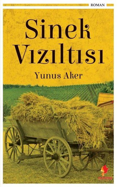 Sinek Vızıltısı - Yunus Aker kitap kapağı
