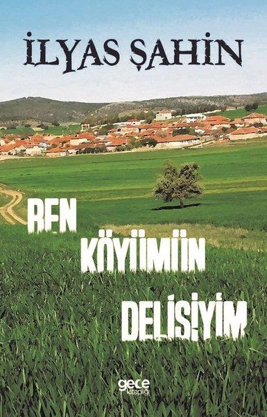 Ben Köyümün Delisiyim - İlyas Şahin kitap kapağı