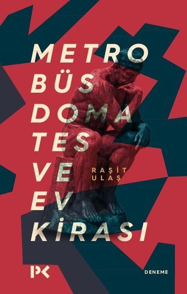 Metrobüs Domates ve Ev Kirası - Raşit Ulaş kitap kapağı