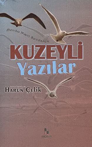 Kuzeyli Yazılar - Harun Çelik kitap kapağı