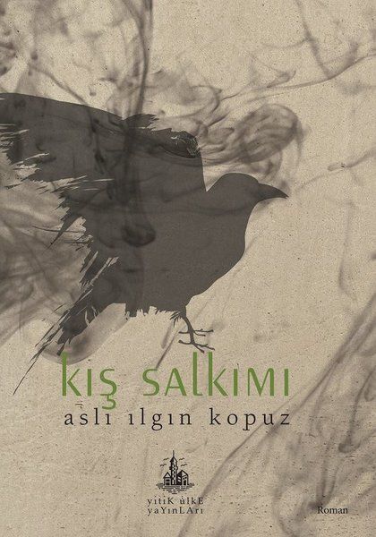 Kış Salkımı - Aslı Ilgın Kopuz kitap kapağı