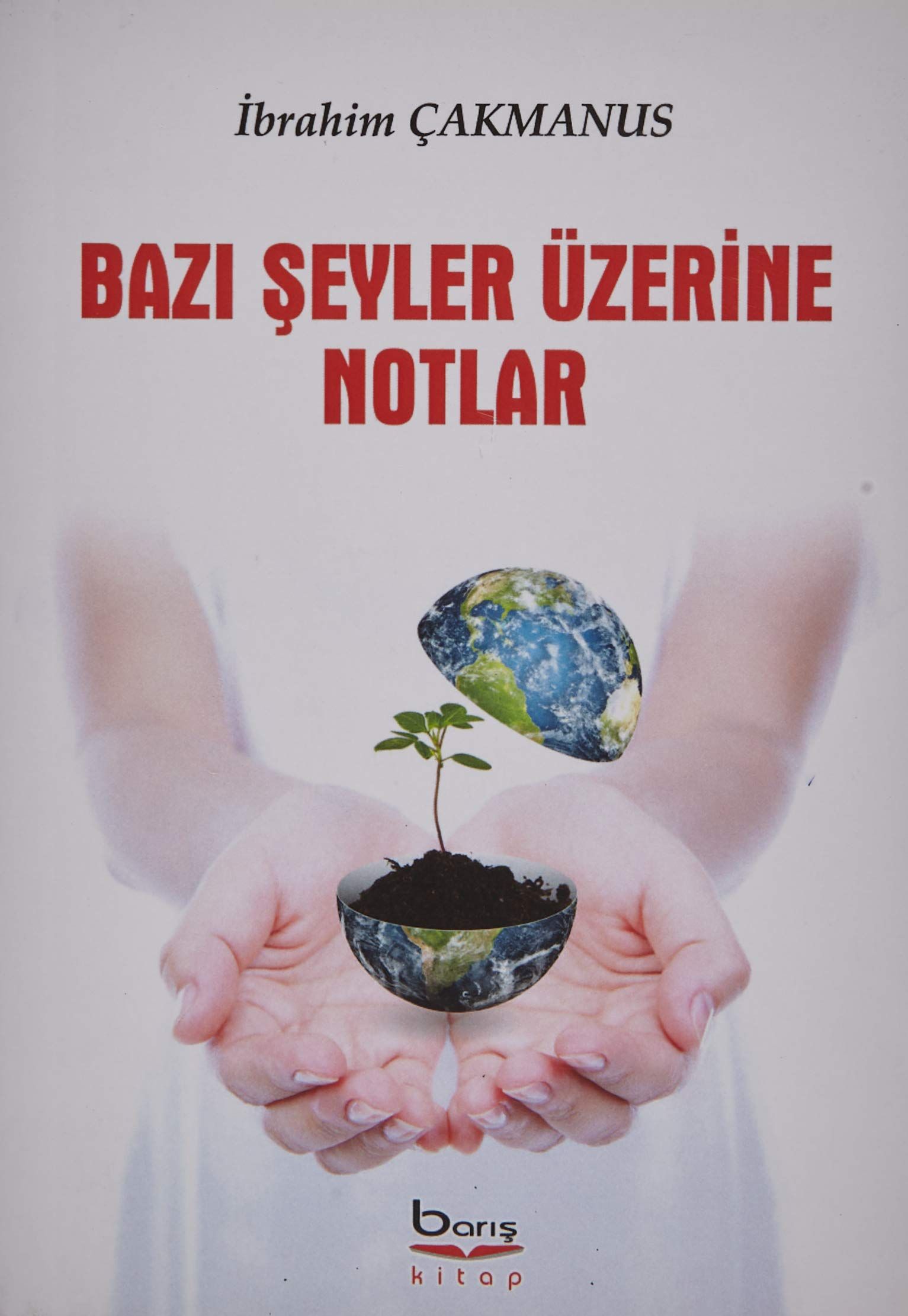 Bazı Şeyler Üzerine Notlar - İbrahim Çakmanus kitap kapağı