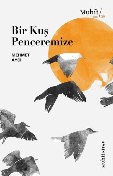 Bir Kuş Penceremize - Mehmet Aycı kitap kapağı