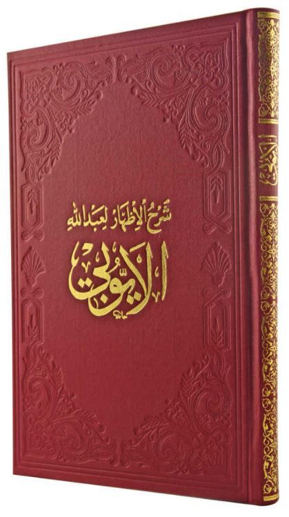 El-Eyyubi - Kolektif kitap kapağı