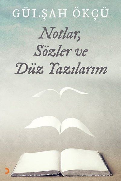 Notlar, Sözler ve Düz Yazılarım - Gülşah Ökçü kitap kapağı