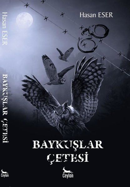 Baykuşlar Çetesi - Hasan Eser kitap kapağı