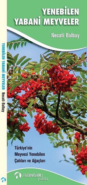 Yenebilen Yabani Meyveler - Necati Balbay kitap kapağı
