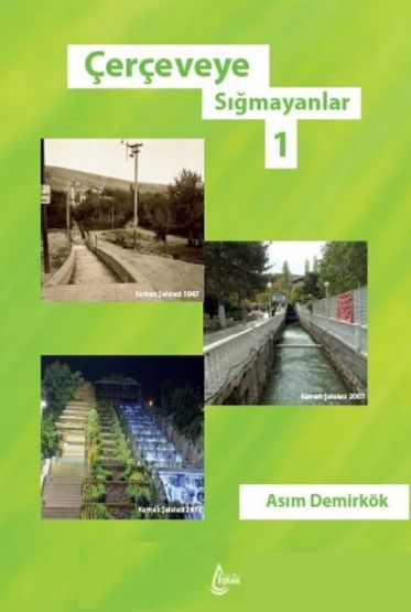 Çerçeveye Sığmayanlar 1 - Asım Demirkök kitap kapağı