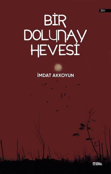 Bir Dolunay Hevesi - İmdat Akkoyun kitap kapağı