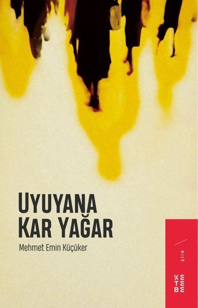 Uyuyana Kar Yağar - Mehmet Emin Küçüker kitap kapağı