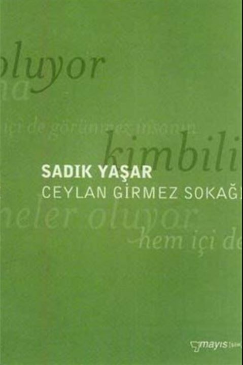 Ceylan Girmez Sokağı - Sadık Yaşar kitap kapağı