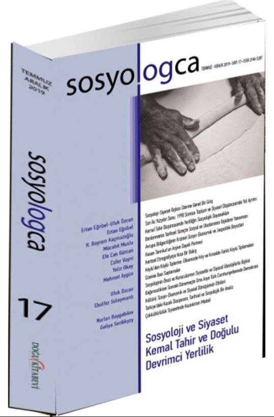 Sosyologca Dergisi Sayı: 17 - Kolektif kitap kapağı