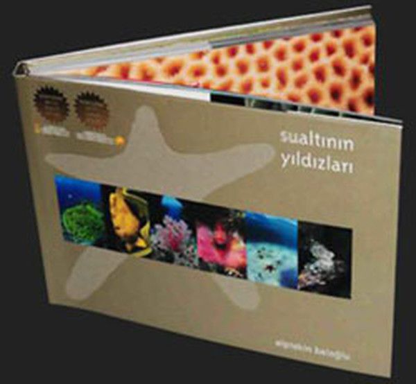 Sualtının Yıldızları - Alptekin Baloğlu kitap kapağı