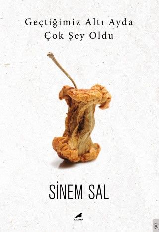 Geçtiğimiz Altı Ayda Çok Şey Oldu - Sinem Sal kitap kapağı