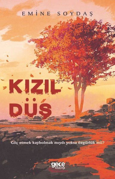 Kızıl Düş - Emine Soydaş kitap kapağı