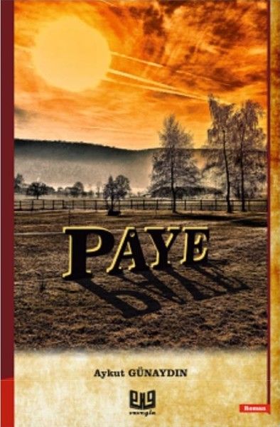 Paye - Aykut Günaydın kitap kapağı