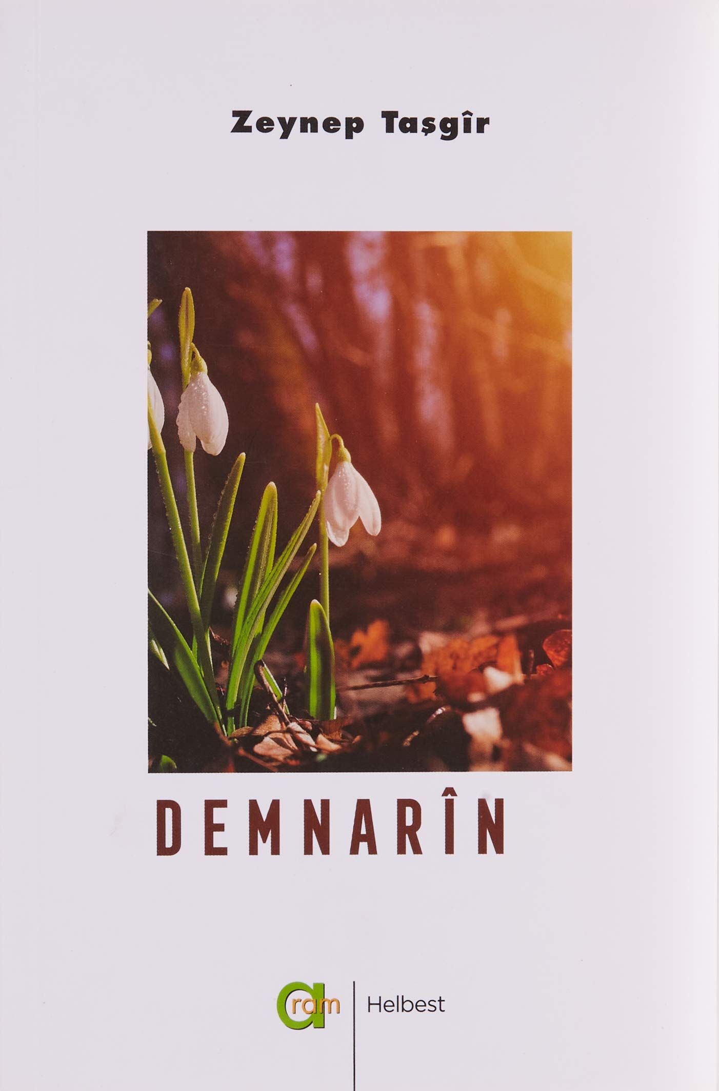 Demnarin - Zeynep Taşgir kitap kapağı