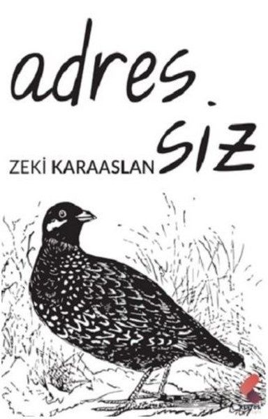 Adressiz - Zeki Karaaslan kitap kapağı