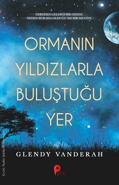Ormanın Yıldızlarla Buluştuğu Yer - Glendy Vanderah kitap kapağı