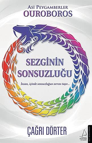 Sezginin Sonsuzluğu - Çağrı Dörter kitap kapağı