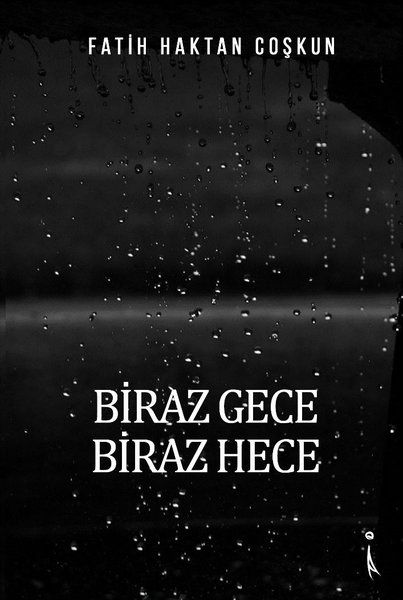 Biraz Gece Biraz Hece - Fatih Haktan Coşkun kitap kapağı