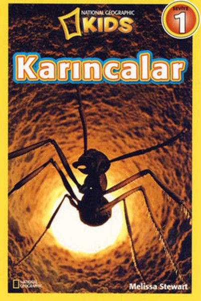 Karıncalar - Seviye 1 - Melissa Stewart kitap kapağı