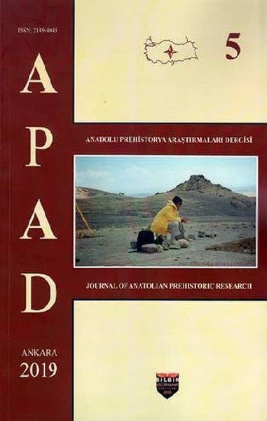 APAD Ankara 2019 Cilt-5 - Kolektif kitap kapağı