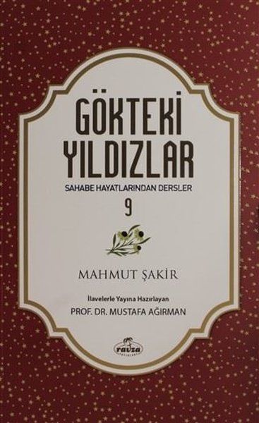 Gökteki Yıldızlar - 9 - Mahmut Şakir kitap kapağı
