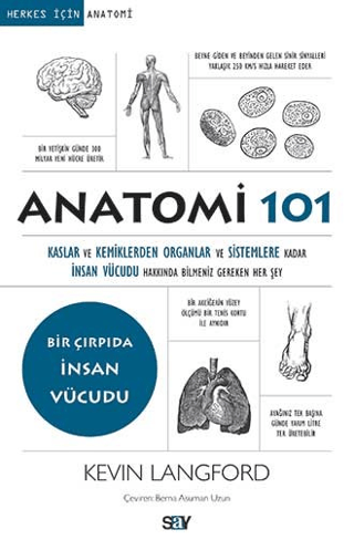 Anatomi 101 - Kevin Langford kitap kapağı