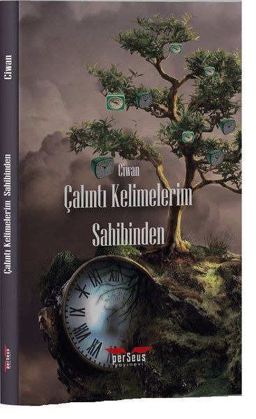 Çalıntı Kelimelerim Sahibinden - Ciwan kitap kapağı