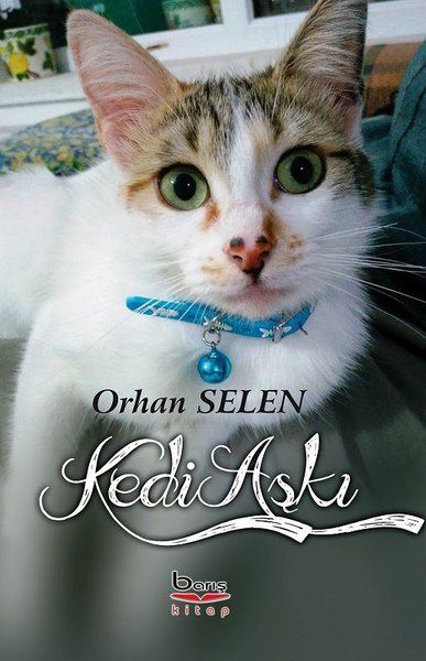 Kedi Aşkı - Orhan Selen kitap kapağı