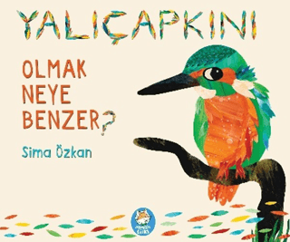 Yalıçapkını Olmak Neye Benzer? - Sima Özkan kitap kapağı