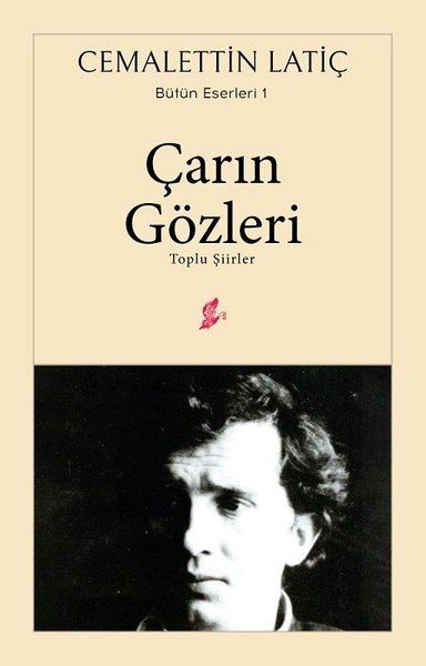 Çarın Gözleri - Cemalettin Latiç kitap kapağı