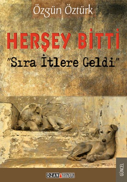 Herşey Bitti - Özgün Öztürk kitap kapağı