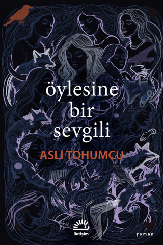 Öylesine Bir Sevgili - Aslı Tohumcu kitap kapağı